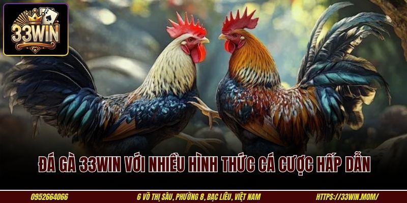 Đá gà 33WIN với nhiều hình thức cá cược hấp dẫn