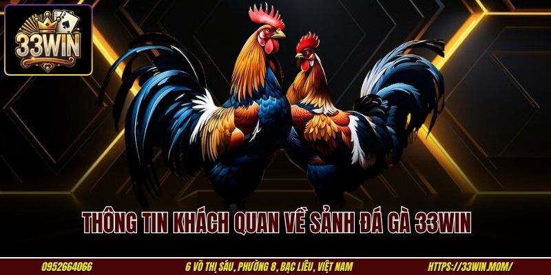 Thông tin khách quan về sảnh đá gà 33WIN