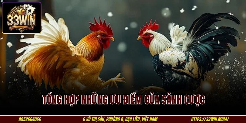 Tổng hợp những ưu điểm của sảnh cược